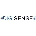 DigiSense360 logo