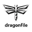 Dragonfile logo