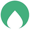 Gold Fig Checkup logo