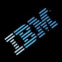 IBM Domain Name Service (DNS) logo