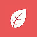 Leaf logo
