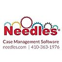 Needles logo