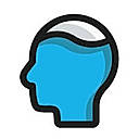 Pool Brain logo