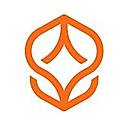 ProcessMind logo