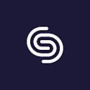Safestream logo