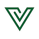 Verion logo