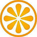VisitBasis logo