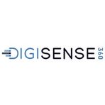 DigiSense360 - E-Commerce Analytics Software