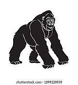 Gorilla Terminal