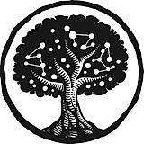 Kumu