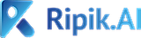 Ripik Vision AI