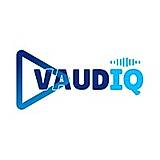 Vaudiq