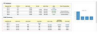 Summary of Audit Cases