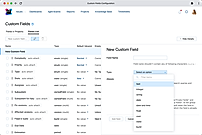 Custom fields