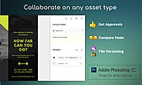 Collaborate on Asset Type