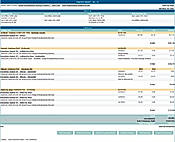 Expense Report