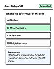 AI-Generated Quizzes