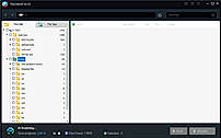 File Type