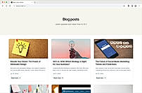 Blog Posts