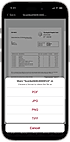 Multiple export formats