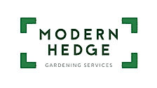 Modern Hedge