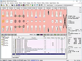 Clinical Charting screenshot