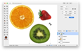 Resizing Rotating Transforming