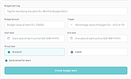 Budget Control Tag