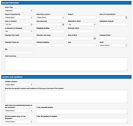 Incident Portal Form