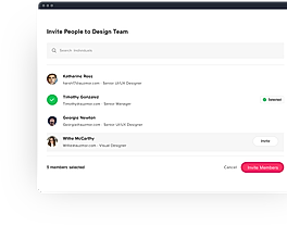 Invite Team screenshot