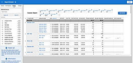 Custom Reports