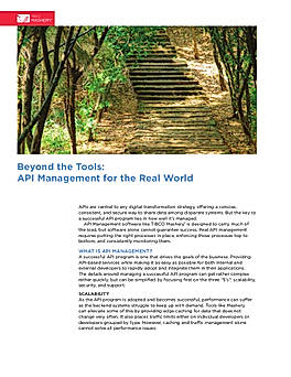Beyond the Tools: API Management for the Real World