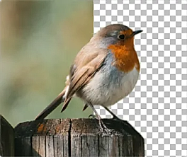 Remove Background