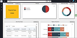 Bizintel360 screenshot