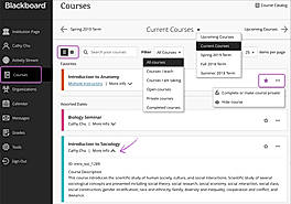 Current courses