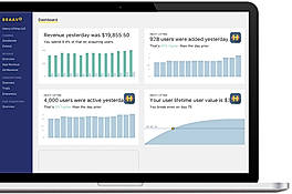 Braavo screenshot