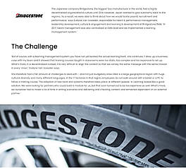 Bridgestone: e-Learning in Multiple Languages developed by Employees