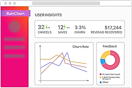 BurnChurn screenshot