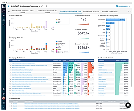 Demo Attribution Summary