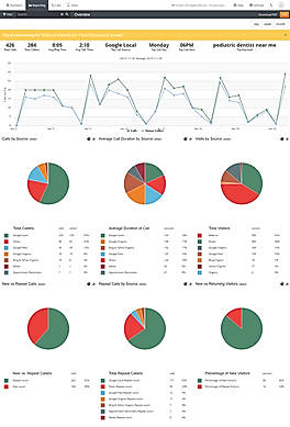 Call Overview Report