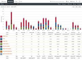 ROI Report