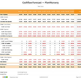 Report Cashflow Forecast 1 Year Monthly Report