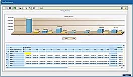 BI Reports