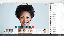 Meeting controls within your control