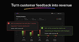 Customer Feedback into Revenue