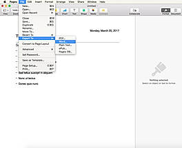Convert Pages to Word Document
