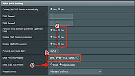 WAN DNS Setting