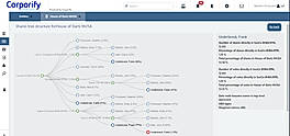 Org chart
