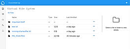 Virtual File System