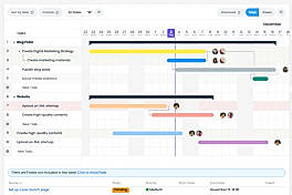 Project Management